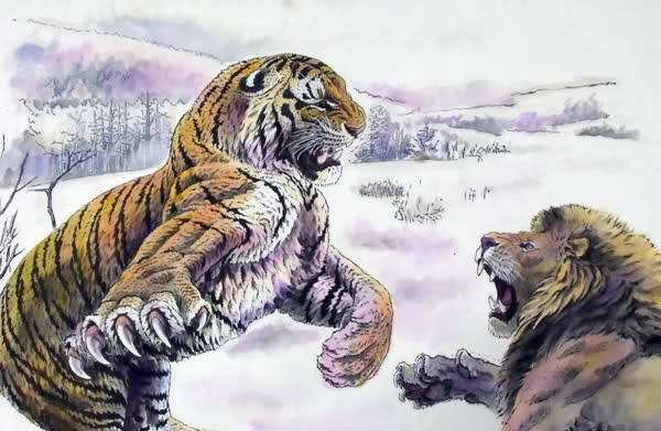 Duel Harimau vs Singa, Siapa yang Menang?