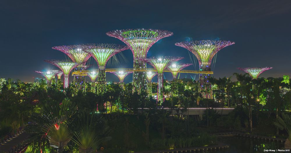 Singapore Garden By The Bay by Jake Wang On Flickr