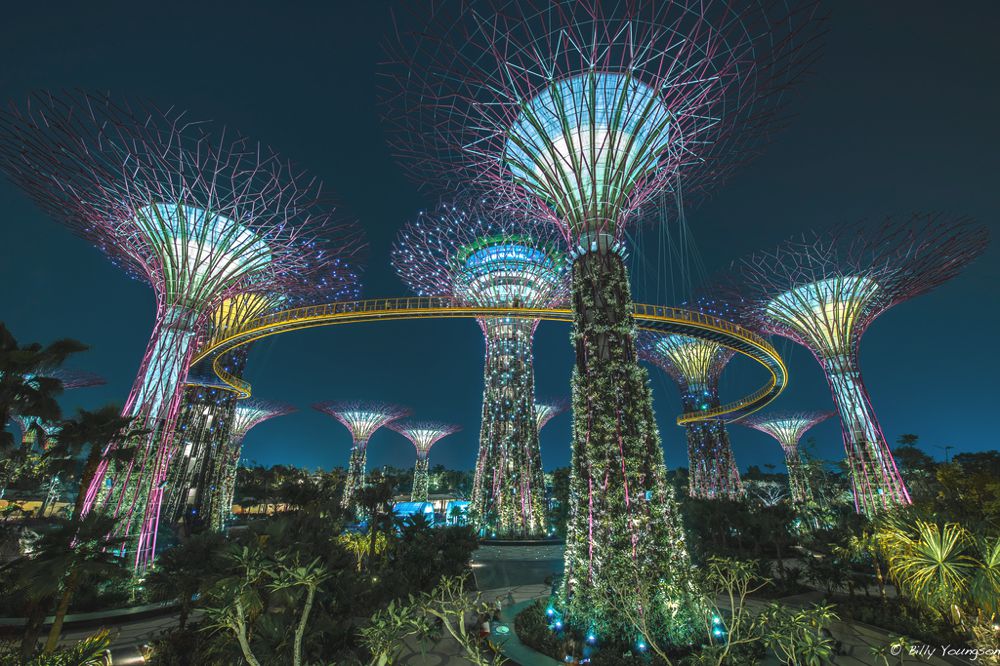 Singapore Garden By The Bay by billyyoungson On Flickr