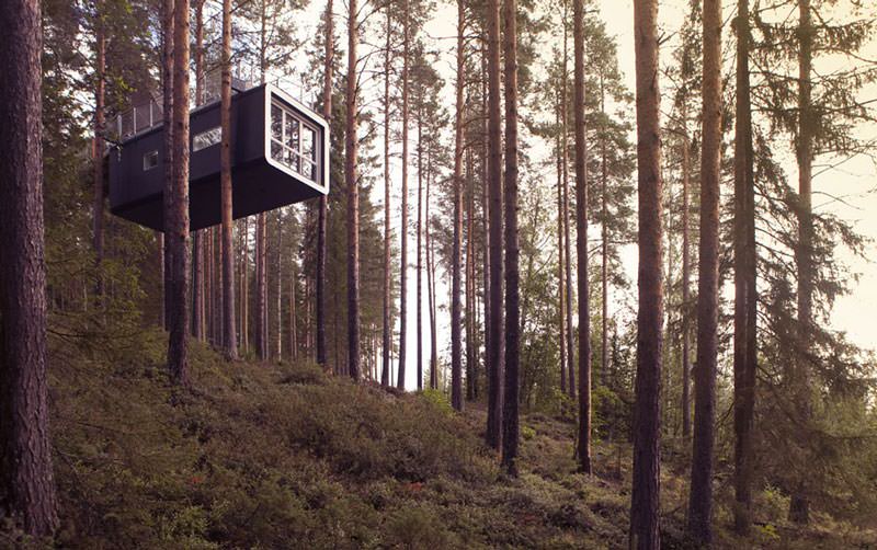 hotel pohon swedia cabin room