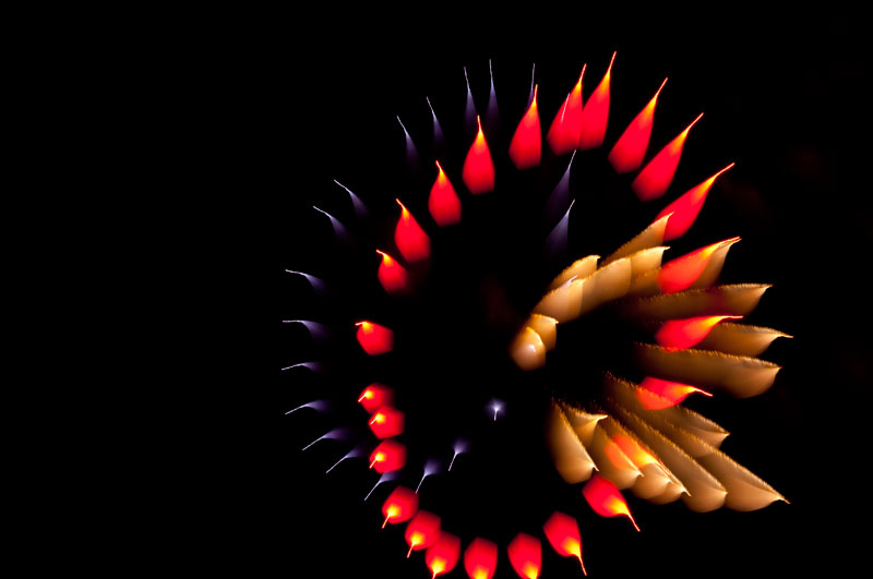 fireworks photography 4
