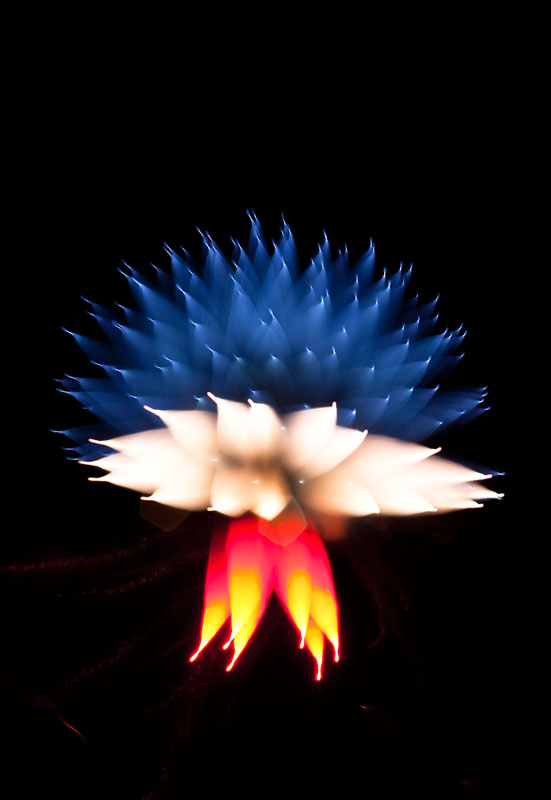 fireworks photography 6