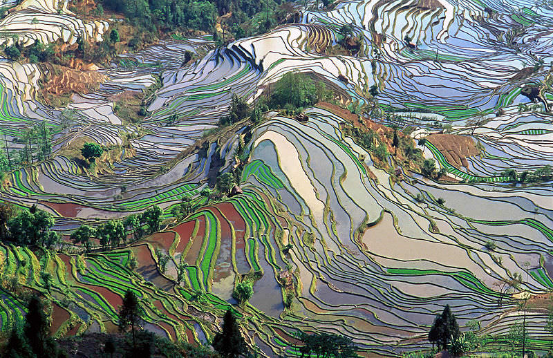 situs warisan dunia unesco cultural landscape of honghe hani rice terraces