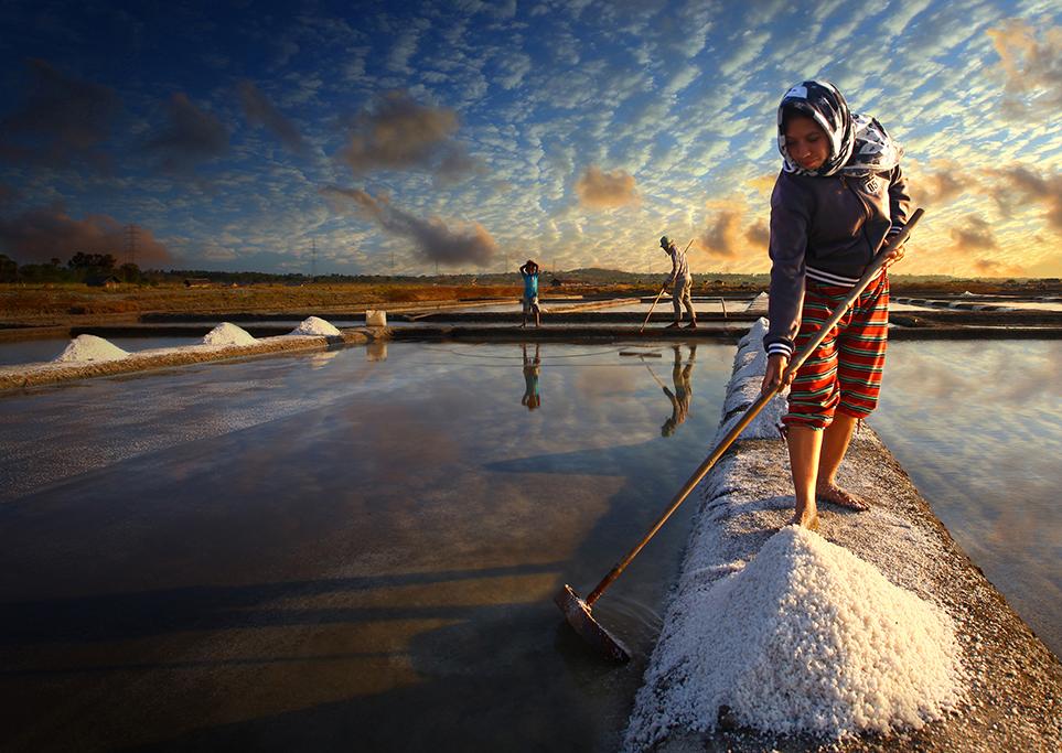 People - Harvesting Salt - Alamsyah Rauf