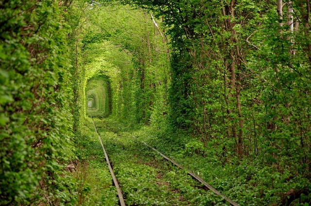 Tunnel of Love 1