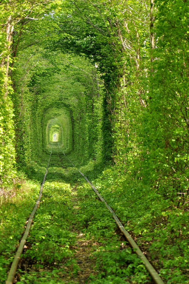 Tunnel of Love 2