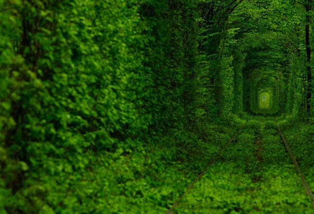 Tunnel of Love 3