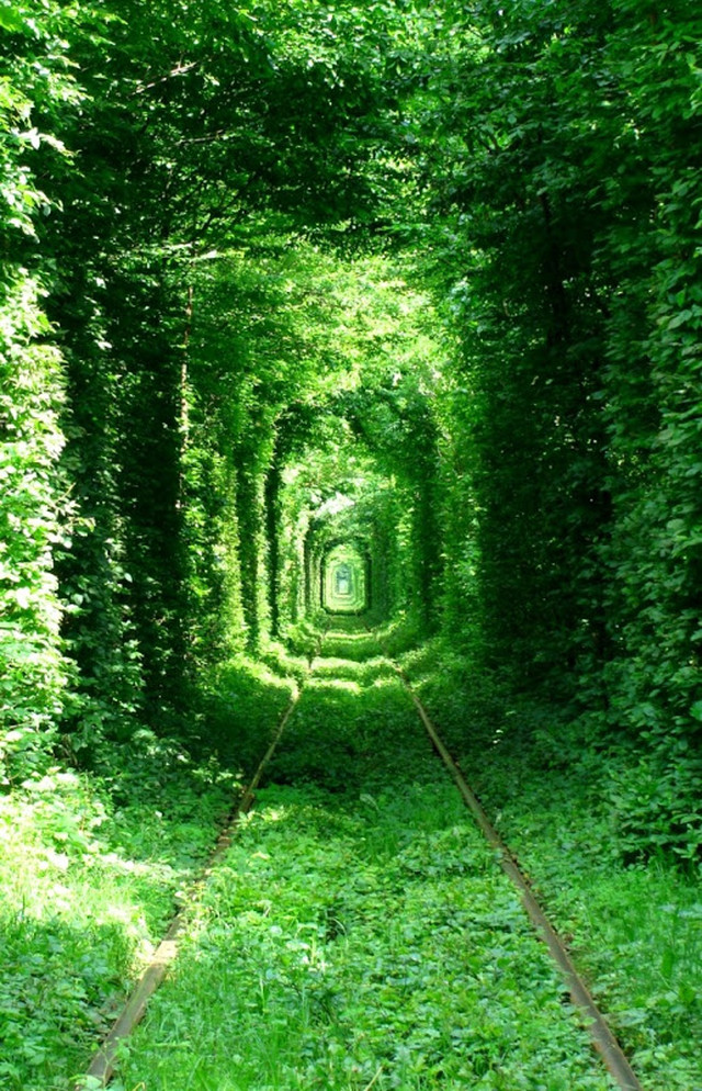 Tunnel of Love 5