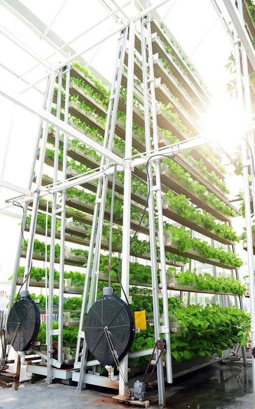 sistem pertanian vertikal singapura skygreens 3