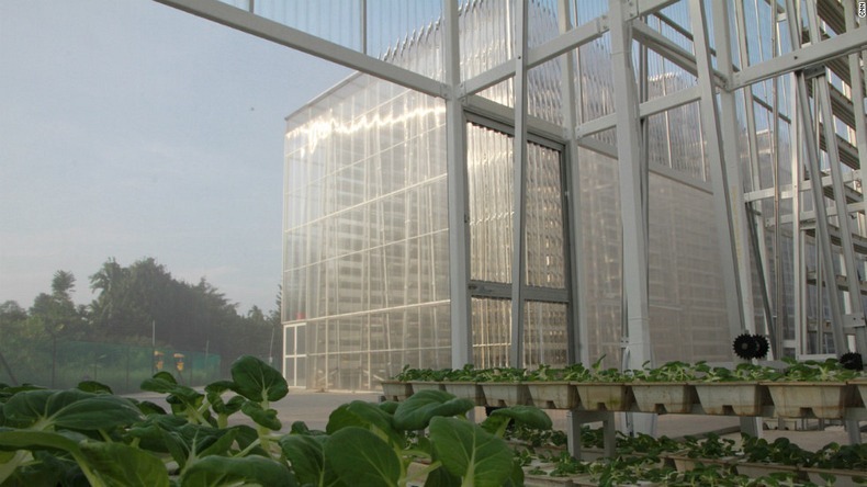sistem pertanian vertikal singapura skygreens 8
