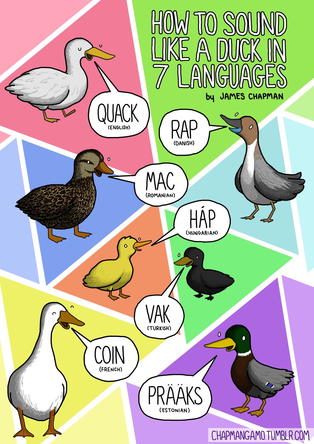 Ilustrasi Suara Binatang Dalam Berbagai Bahasa Mobgenic
