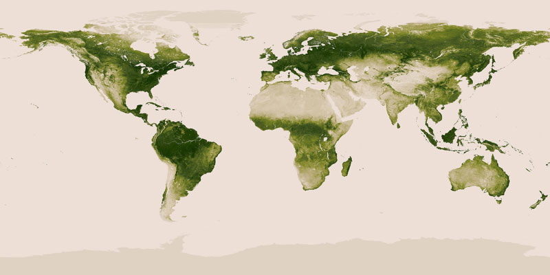 peta dunia vegetasi